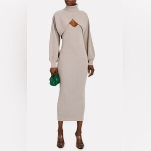 Ronny Kobo Collection Taupe Long Sleeve Dress NWOT